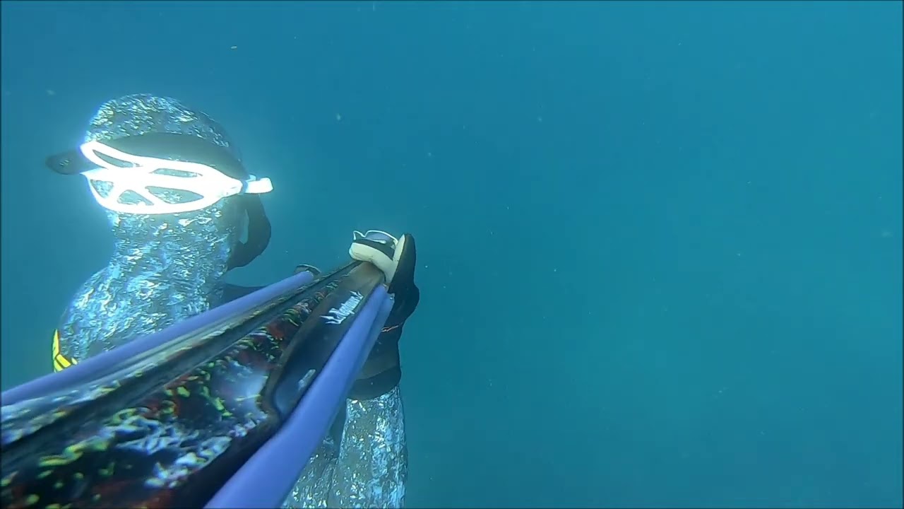 Συναγριδες...!!!