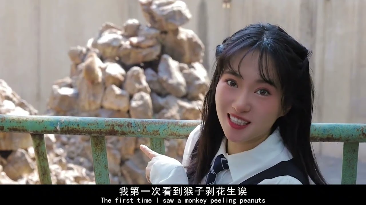 Panzhihua zoo:what will happen when Chinese grandpa and grandma manage the zoo.