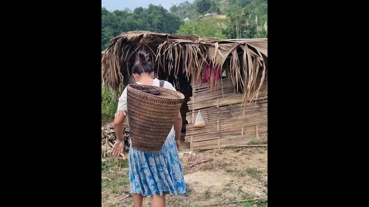A Little Girl Searching for Her Family Begs for Food—But He Turns Her Away Coldly…#LostChild