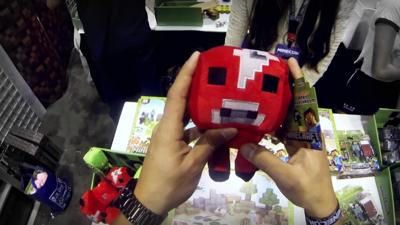 The Minecon Experience - 2013