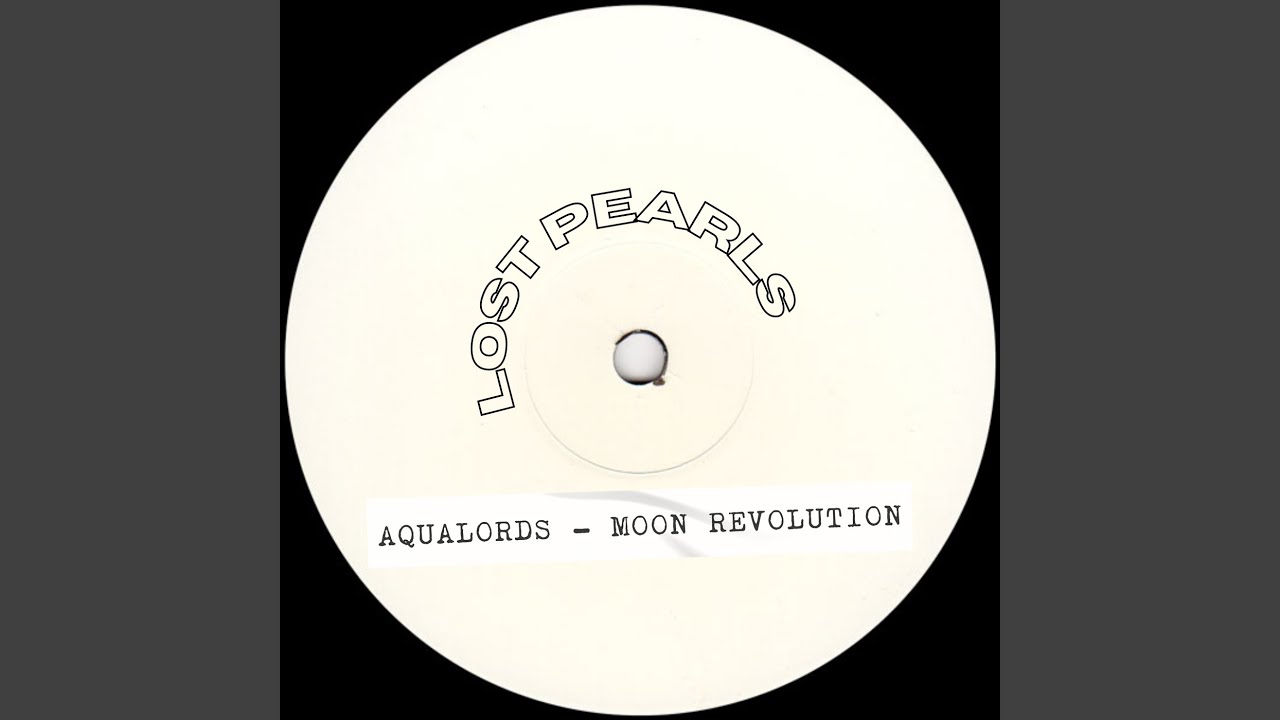 Moon Revolution (Steve Spaceman Vs Regi's Global Killer Version)