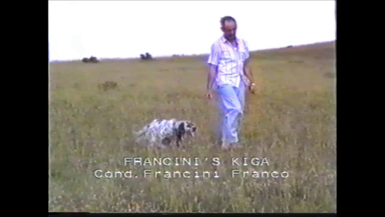 Setter del pasado -  Francini's