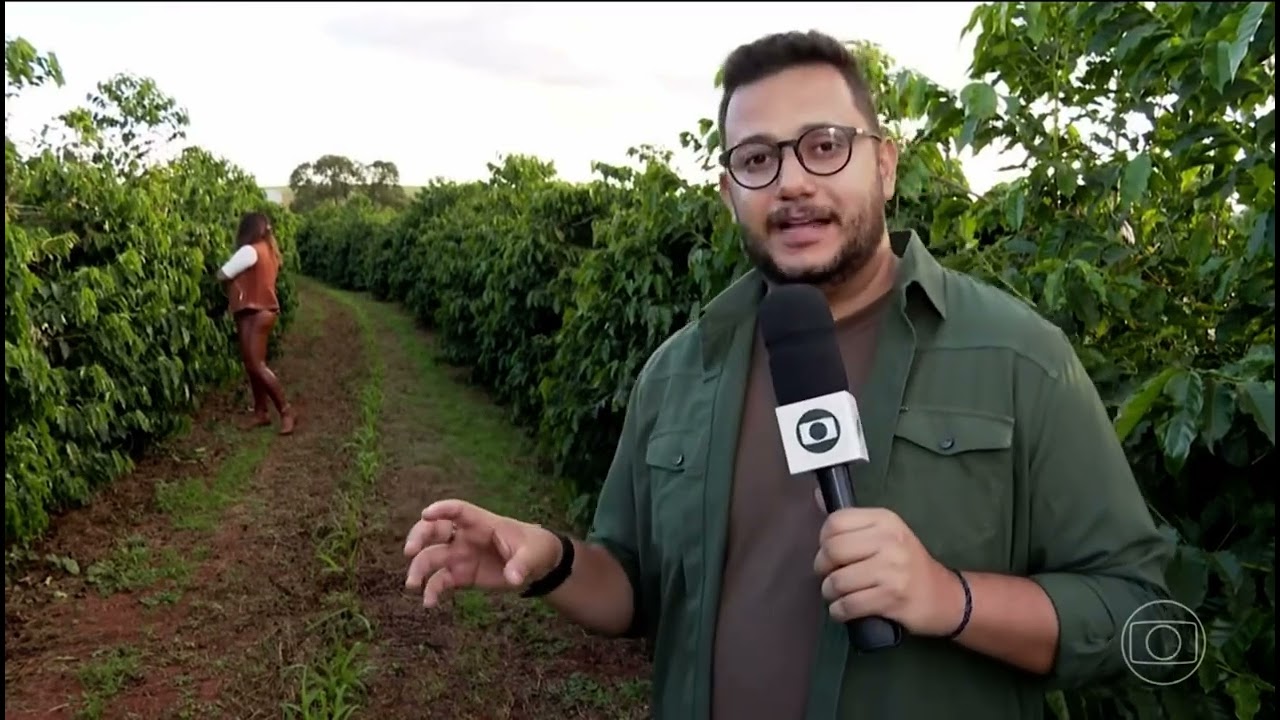 Com início da colheita do café em MG, produtores se preocupam com os furtos e roubos nas lavouras