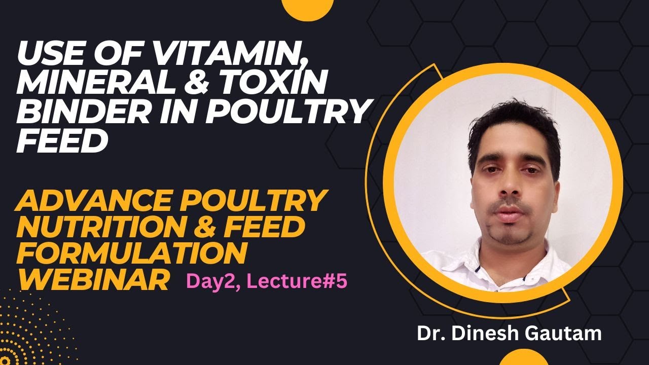 Use of vitamin, mineral & toxin binder in poultry feed, day2, lecture#5