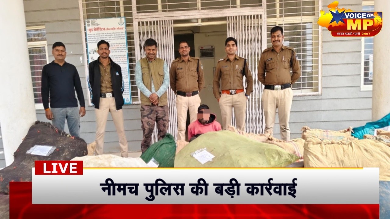 #नीमच #POLICE की बड़ी #कार्रवाई, 97 लाख की #अवैध #अफीम_खेती पकड़ी, एक आरोपी #गिरफ्तार