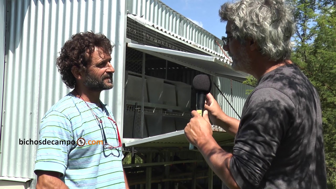 Rubén ´Kika´ Kneeteman y el gallinero móvil en reserva agroecológica Las Piedras, Entre Ríos