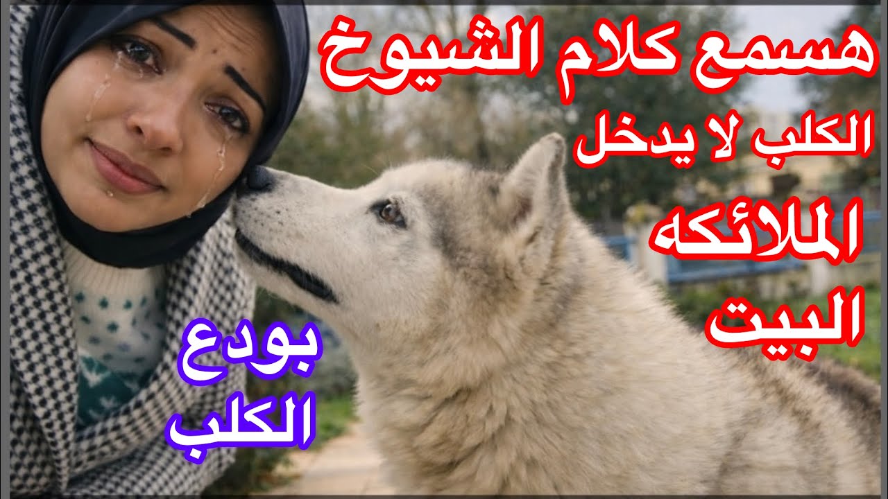 كلمت بناتي علشان ناخد الكلب دار رعاية الحيوان😪البنات بكيت بالدموع 😪