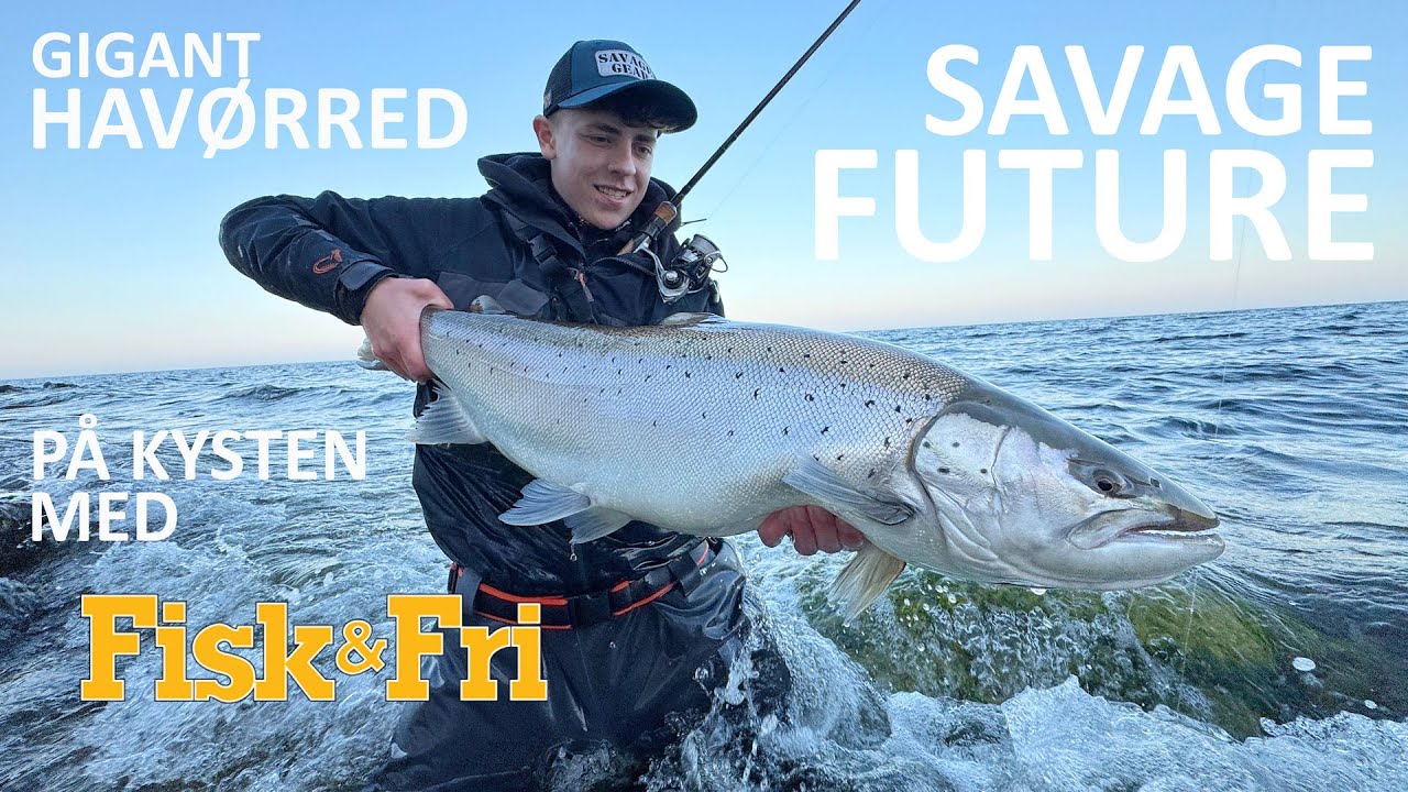 GIGANT HAVØRRED - PÅ KYSTEN MED SAVAGE FUTURE [ENG SUBS]