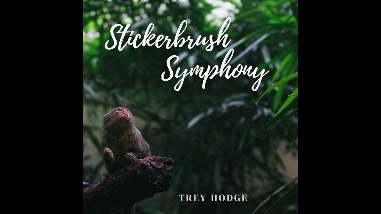 Stickerbrush Symphony (from "Donkey Kong Country 2") | Funk-rock Fusion cover by Trey Hodge