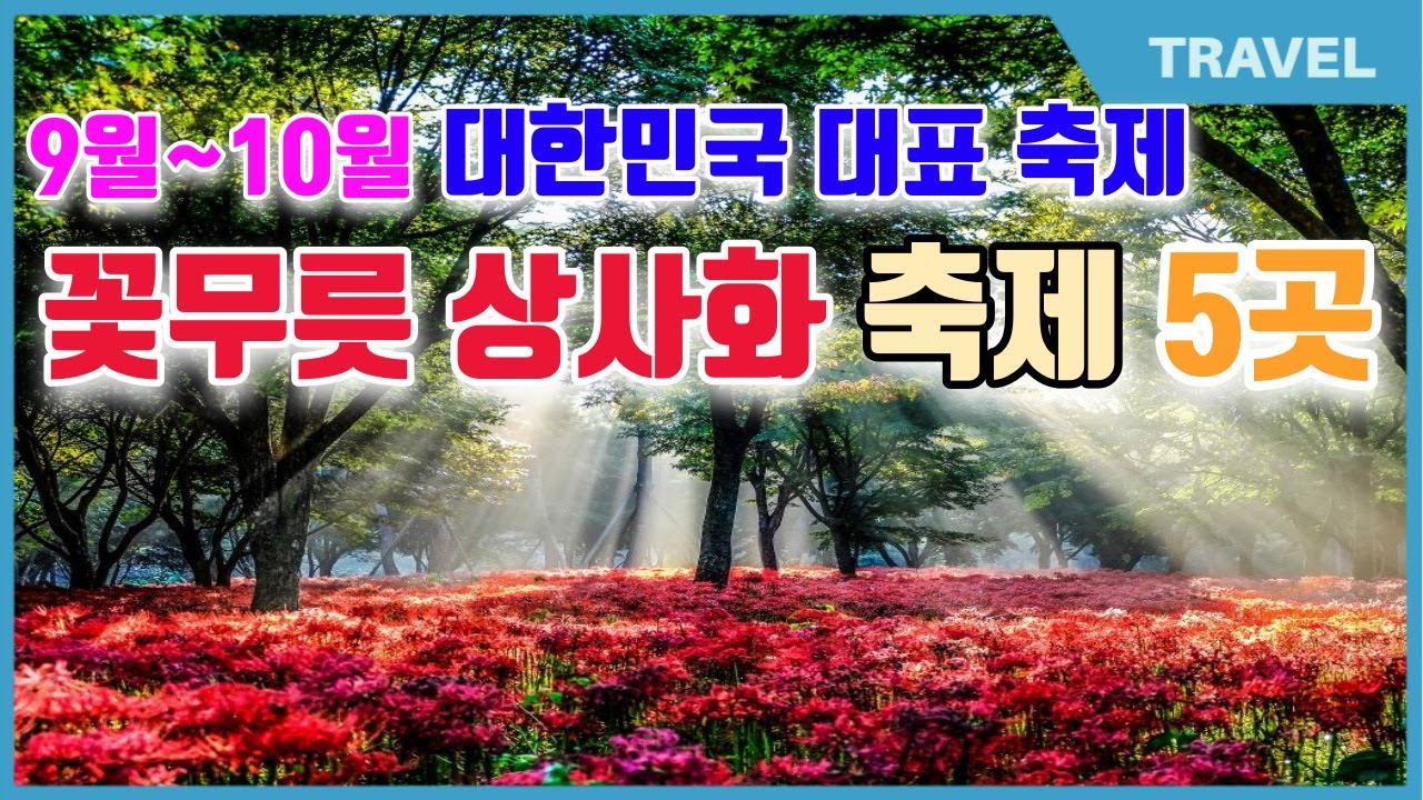 9~10월에 놓치면 후회하는 대한민국 대표 가을여행지 5곳 추천 | 불갑산꽃무릇 | 선운사꽃무릇|정읍구절초축제|유림공원국화꽃전시회|임실N치즈축제|고창핑크뮬리축제|축제정보|축제기간