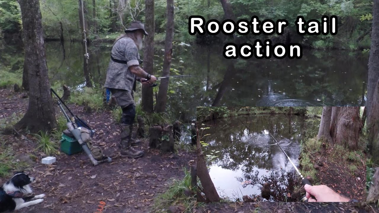 I went Rooster tailing the other day part I #croatannationalforest #ultralightfishing #roostertail