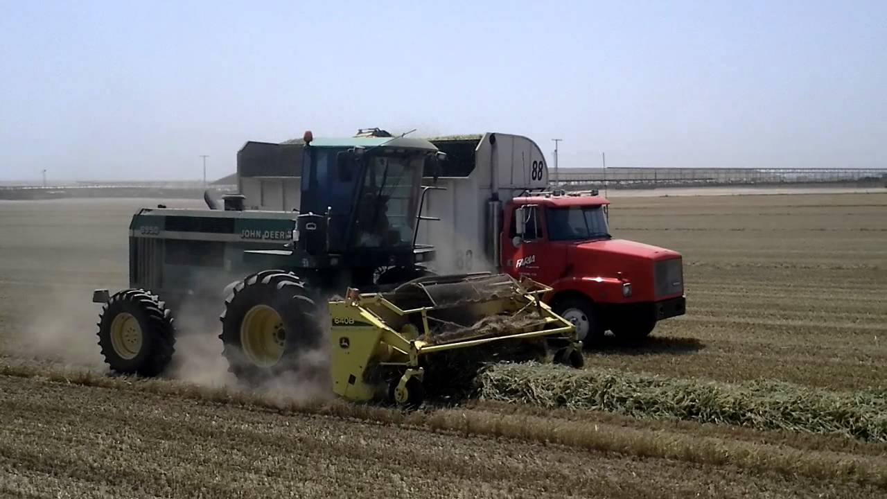 Faria Farms 6950's