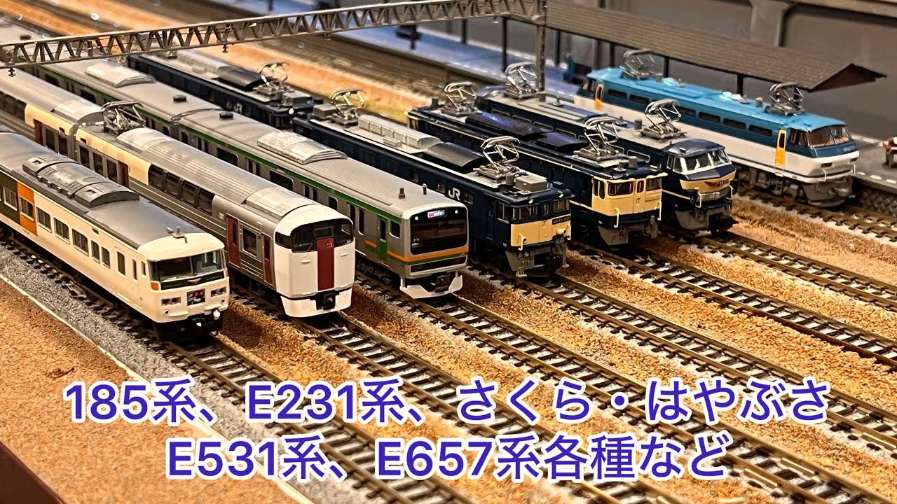 【Nゲージ】185系、E531系、E657系、E231系、24系はやぶさ&富士、E531系赤電ラッピング、カシオペア