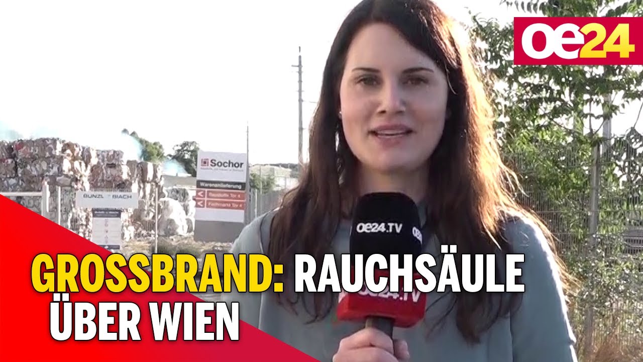 Gro&szlig;brand: Rauchs&auml;ule &uuml;ber Wien