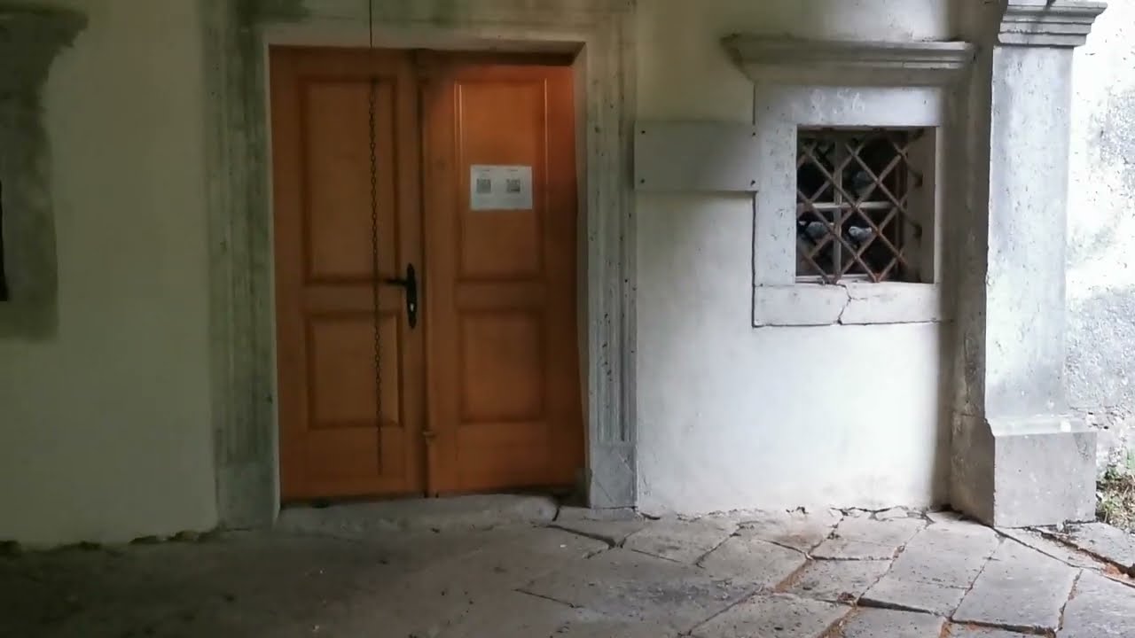 Oglašanje netopirjev II, 6. 7. 2023 🦇