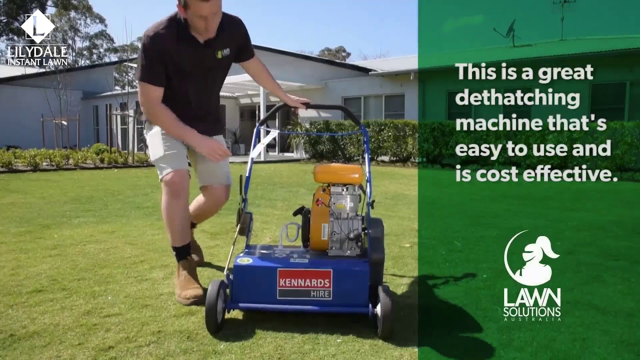 Dethatching your lawn in Spring