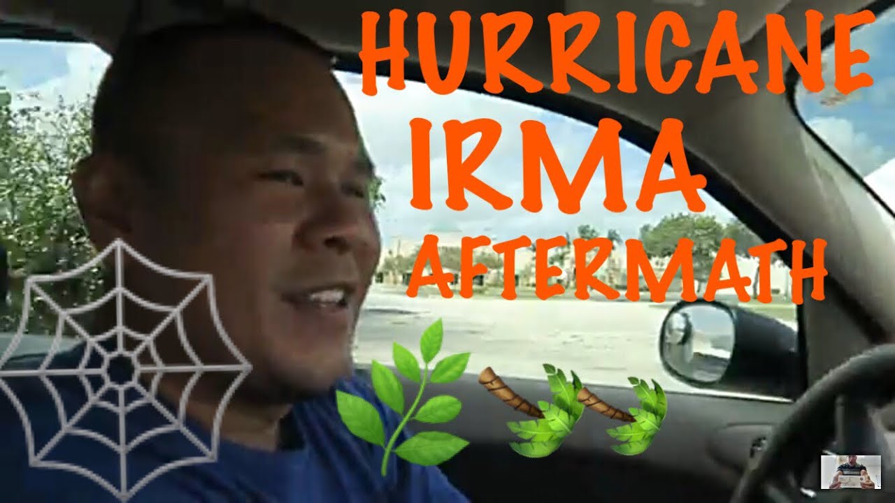 Hurricane Irma Aftermath  / Fort Lauderdale Florida Vlog #9 / A Florida Hurricane Video