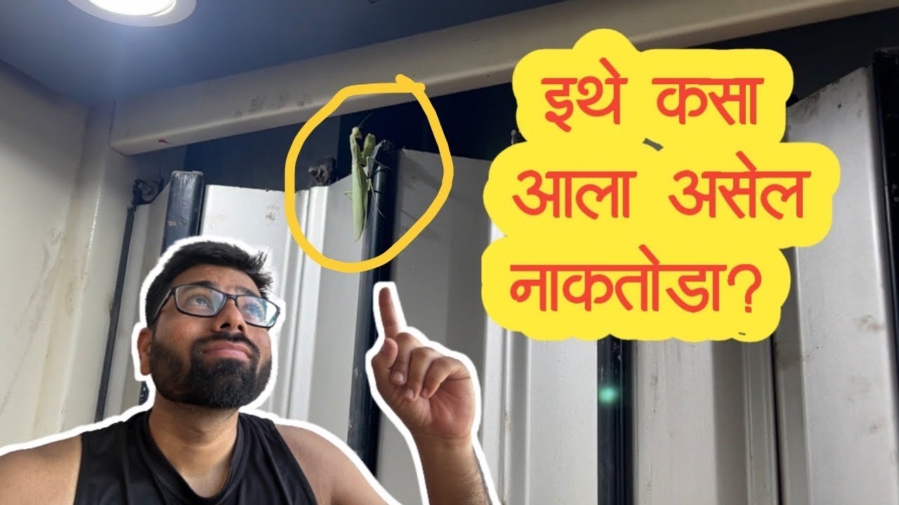 लिफ्ट मध्ये कसा आला असेल नाकतोडा ? #dailyvlog Pune IT life @priyankapravinvlogs