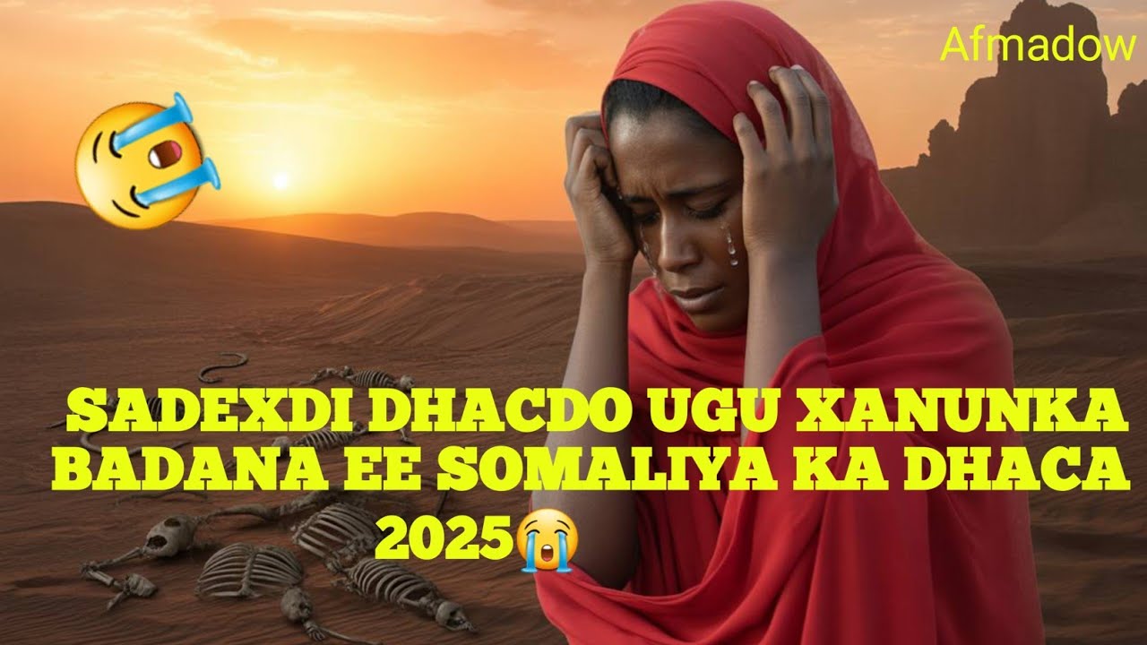 DHACDOYINKII IGU TIRANYADA BADNA E KA DHACA SOMALIA 2025 😭