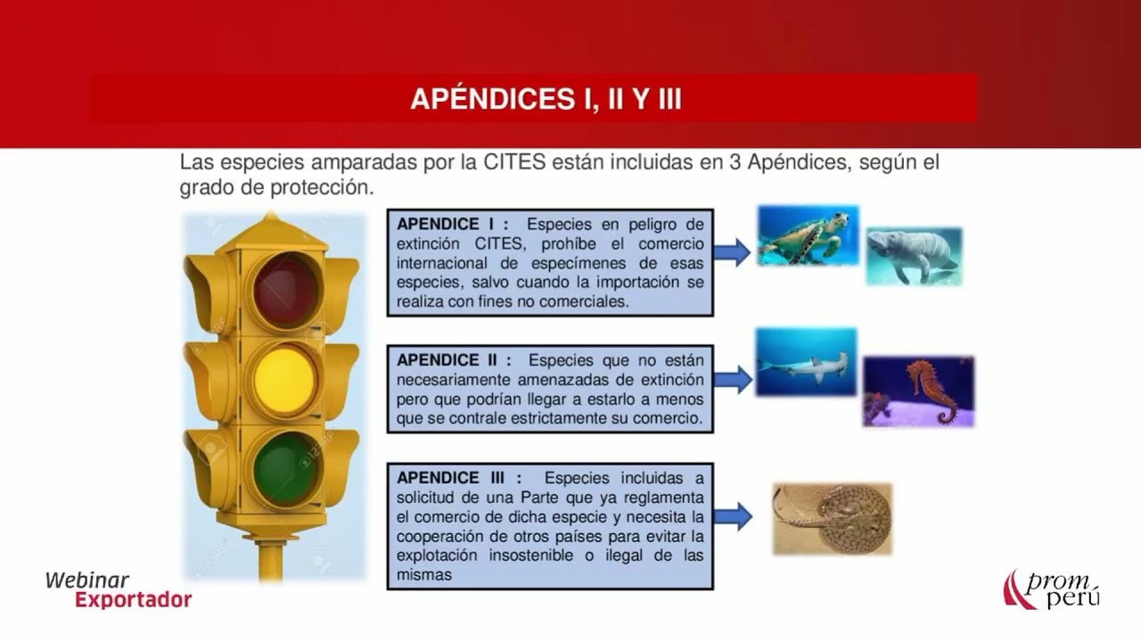 Requisitos para la expedición de permisos y certificados CITES.[18 de agosto de 2021]
