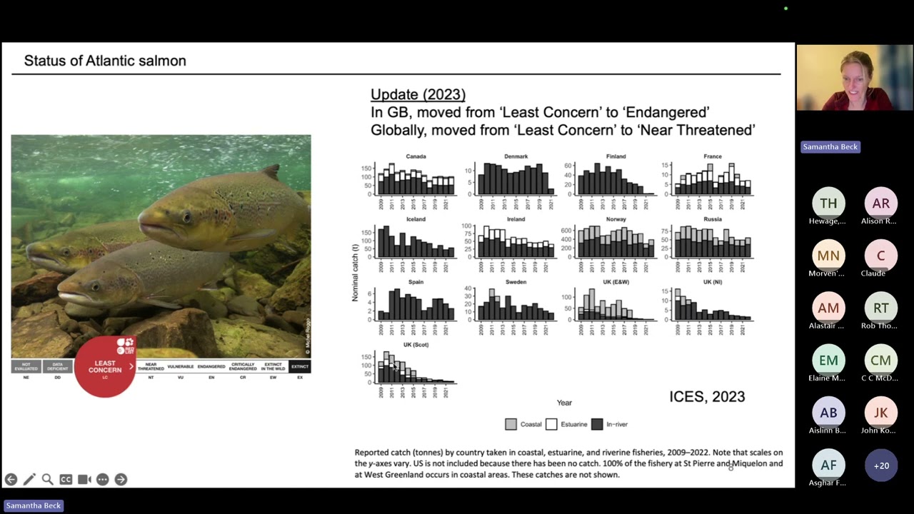Swimming against the clock: The genetics of salmon migration timing in a changing climate