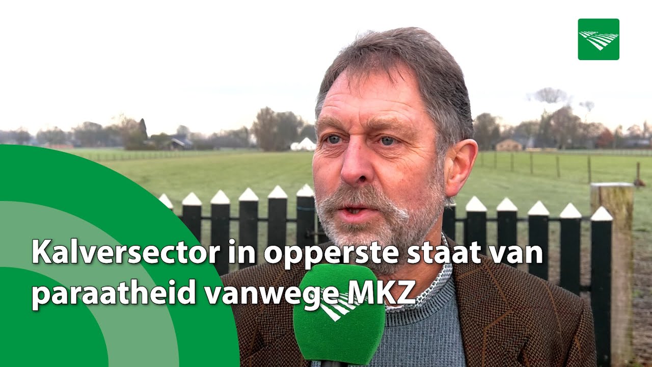 Kalversector in opperste staat van paraatheid vanwege MKZ