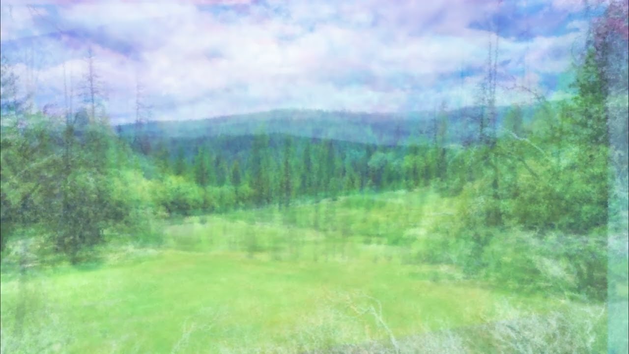 Ambience of 