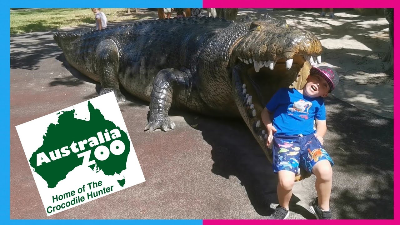 Australia Zoo fun - kids videos for kids
