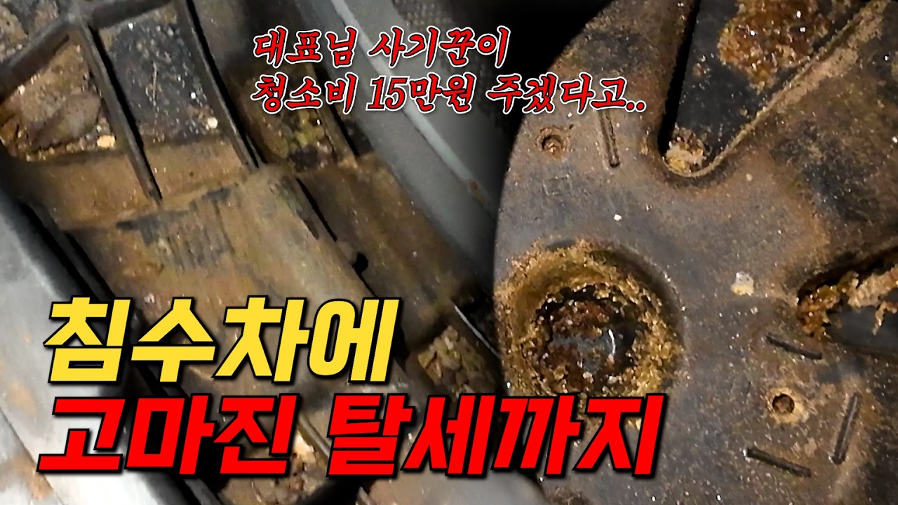 이딴 걸 차라고 팝니까? 