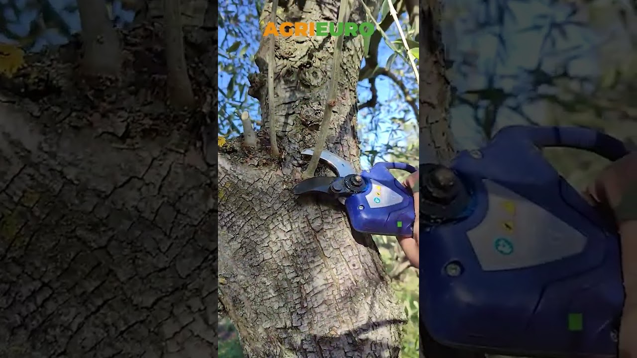 ✂️ la versatilidad de las Tijeras BullMach Artemis 40 Pro | #shorts