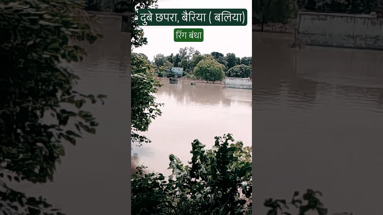 🙏🏻🙏🏻 #dubeychhapra #ballia #ballianews #shortsfeed #flood #newstoday #shorts  #livenews