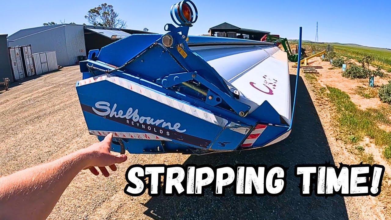 Connecting The Shelbourne Stripper Front
