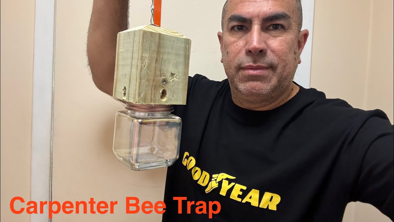 Carpenter Bee Trap DIY