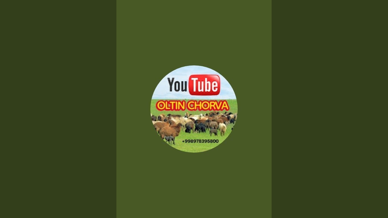 OLTIN CHORVA в прямом эфире!
