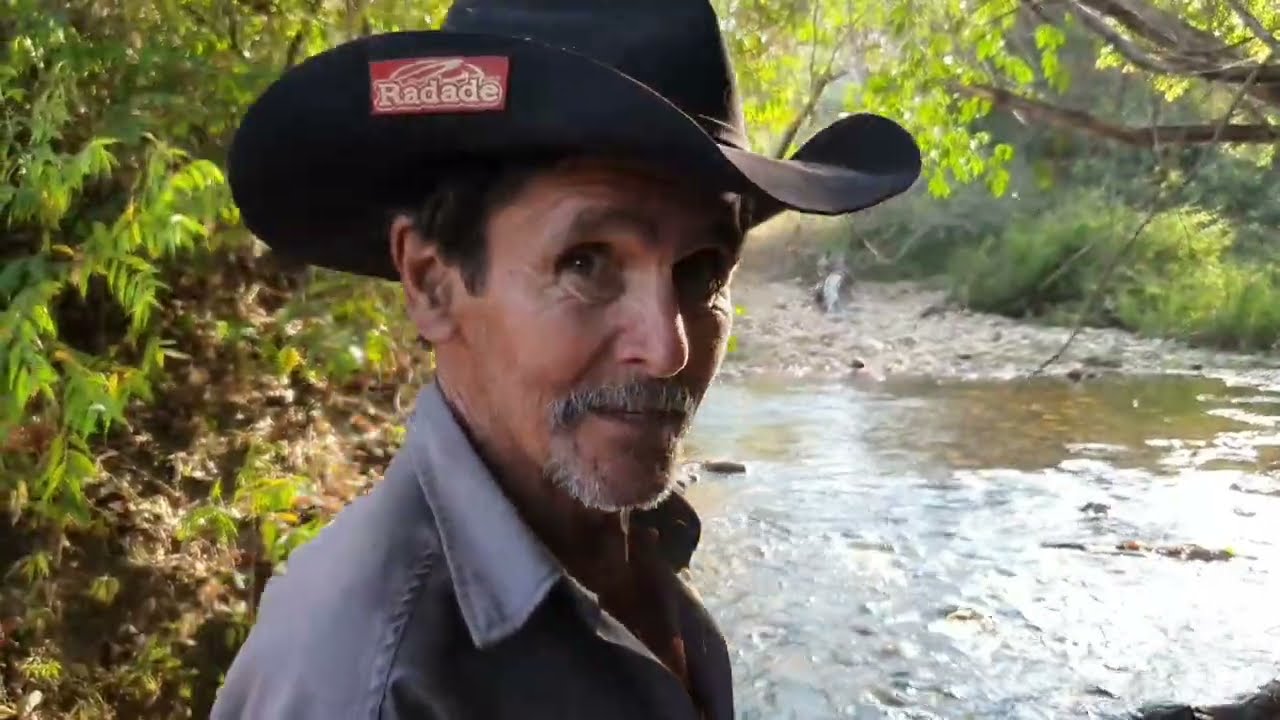 Vivo sozinho na floresta selvagem longe da civilização[#chicoabelha