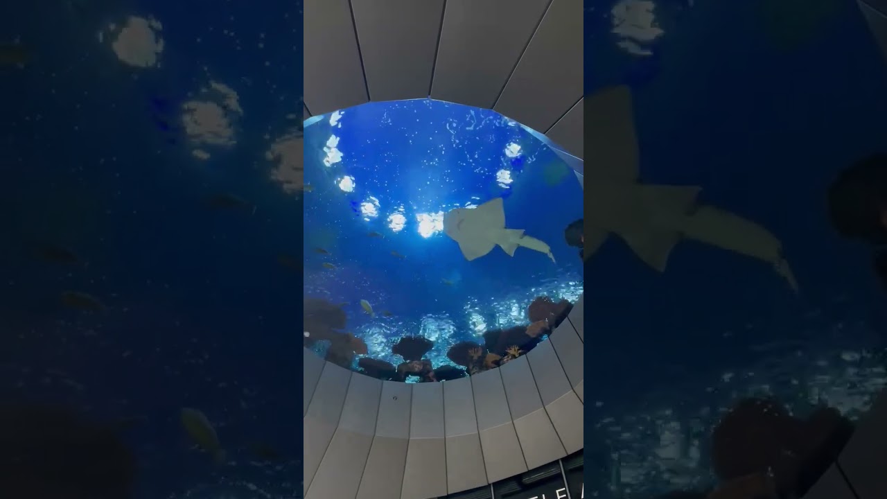 #washingtonstate #waterfall #traveldestinations #travel #travelideas #pnw #washingtontravel #sea