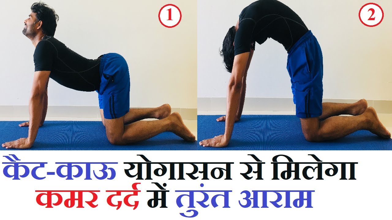 कमर दर्द को तुरंत ठीक करेगा मार्जरी आसन : Practice Cat-Cow Pose to Relieve Back Pain.