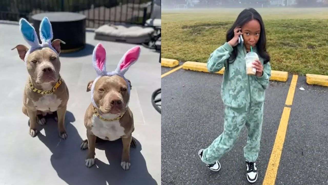 Two Pit Bulls Maul 11-Year-Old Girl, Gouge Eyes, Bite Off Ears, and Put Her in Five-Day Coma