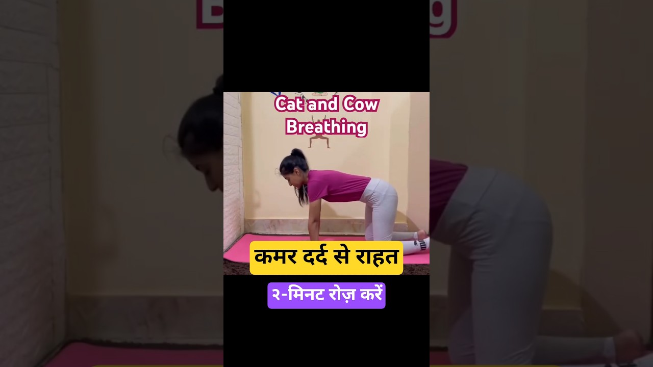 Marjaryasana-Bitilasana breathing kaise kare | Cat-Cow Breathing #yoga #core #backpain #breathing