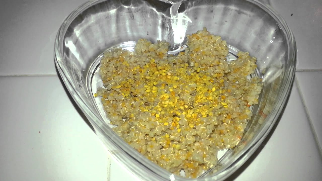 How to prepare soft eggfood for birds