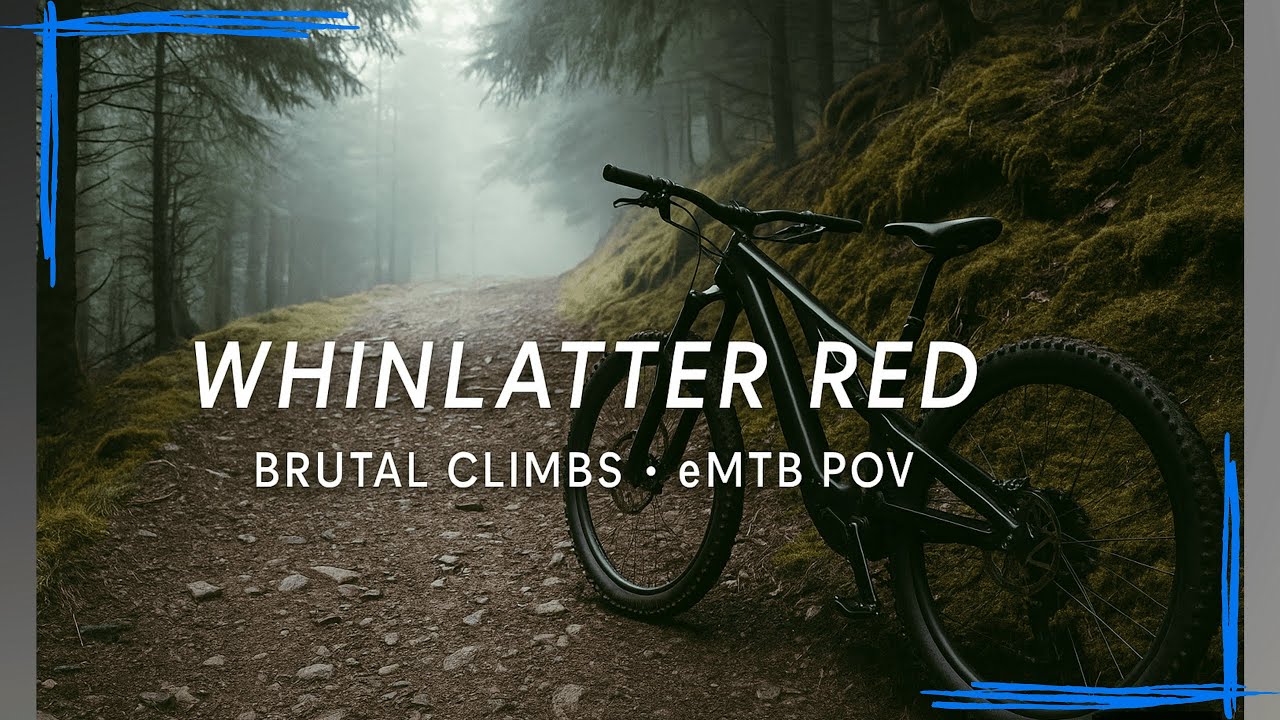 Маршрут Whinlatter Red MTB | Крутые подъёмы, быстрые спуски и захватывающие виды (с точки зрения ...