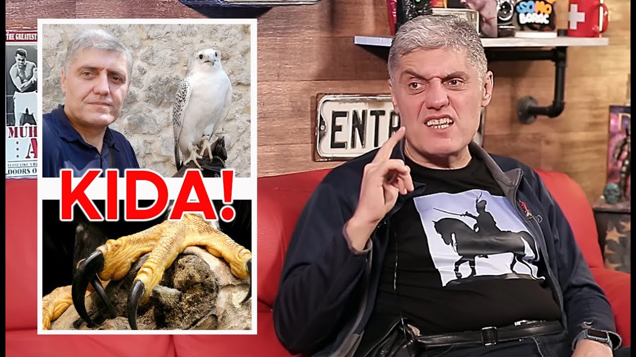 Miroljub Petrović o sokolarstvu i Harrisovom jastrebu - 