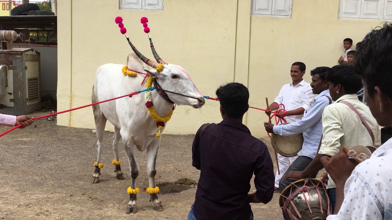 Umesh swami