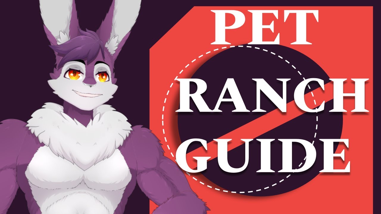 Ultimate Pet Ranch Guide - Lost Ark (Fast version)