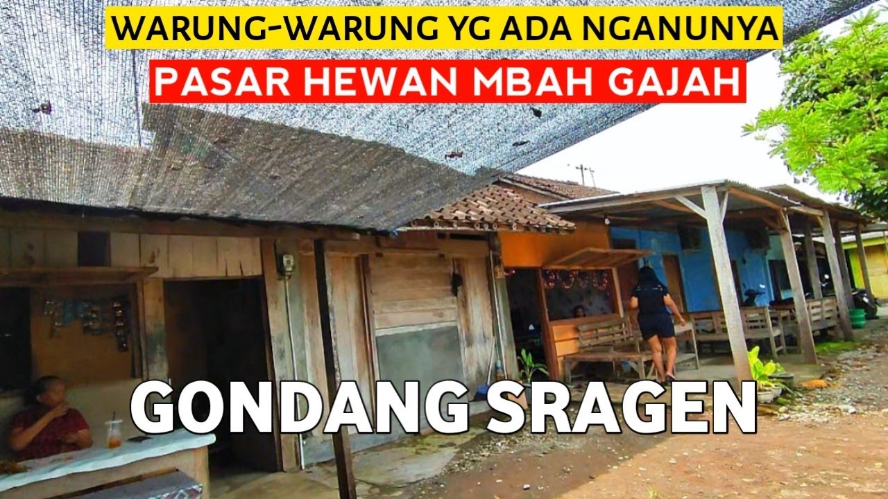 𝗦𝗥𝗔𝗚𝗘𝗡 ❗Pasar hewan mbah gajah gondang ternyata masih ada P5K nya.