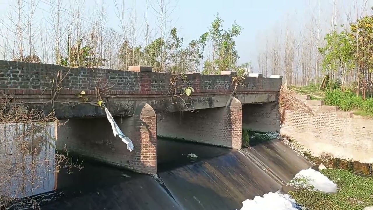 Dadhedoo Kalaan Muzaffarnagar Uttar Pradesh India 🇮🇳 - Muzaffarnagar Sarwhat Uttar Pradesh India 🇮🇳🙏
