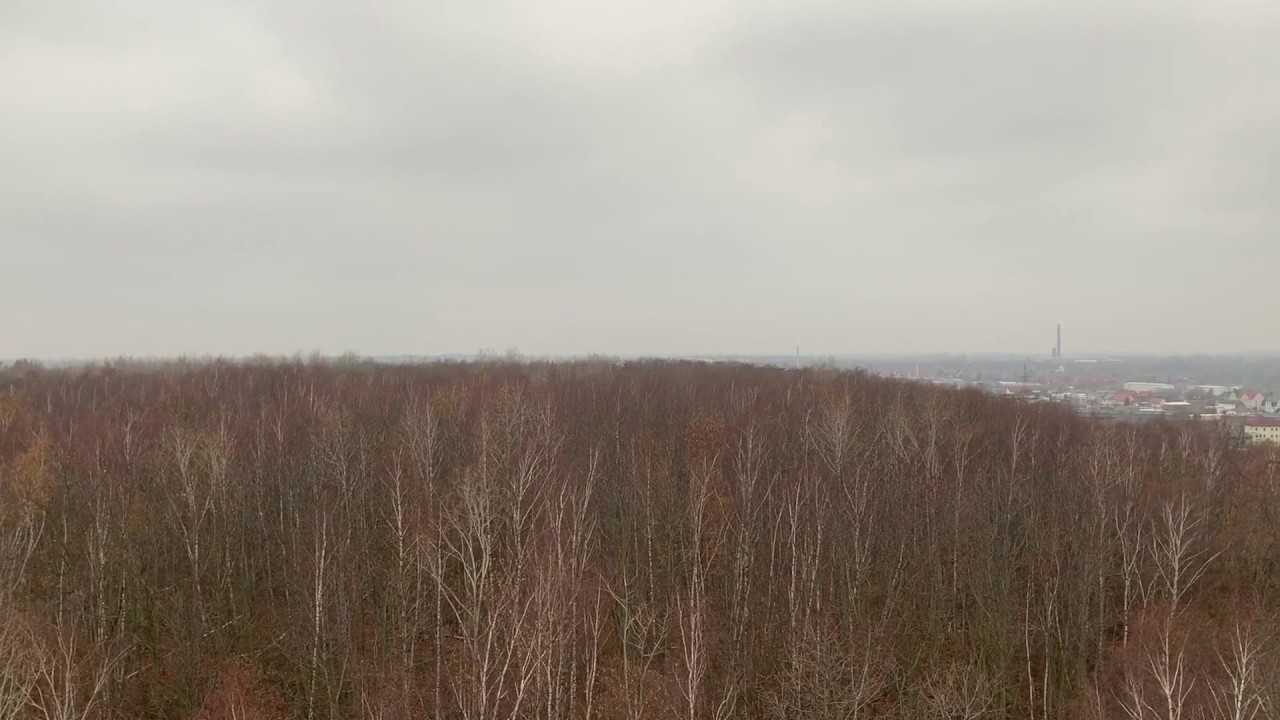 Rundblick vom Bitterfelder Bogen nach Bitterfeld und auf den GoitzscheSee