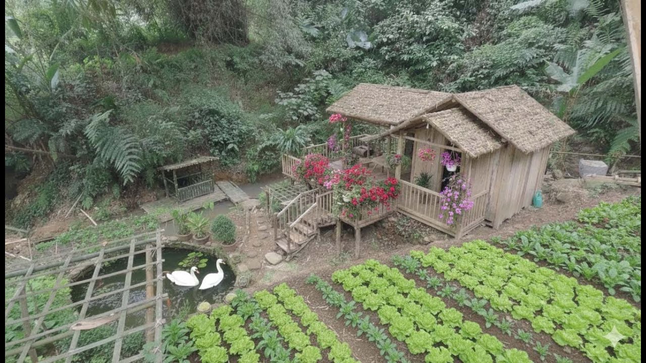 Part 5. 365 days to build a house in the forest, away from the noise of the city.