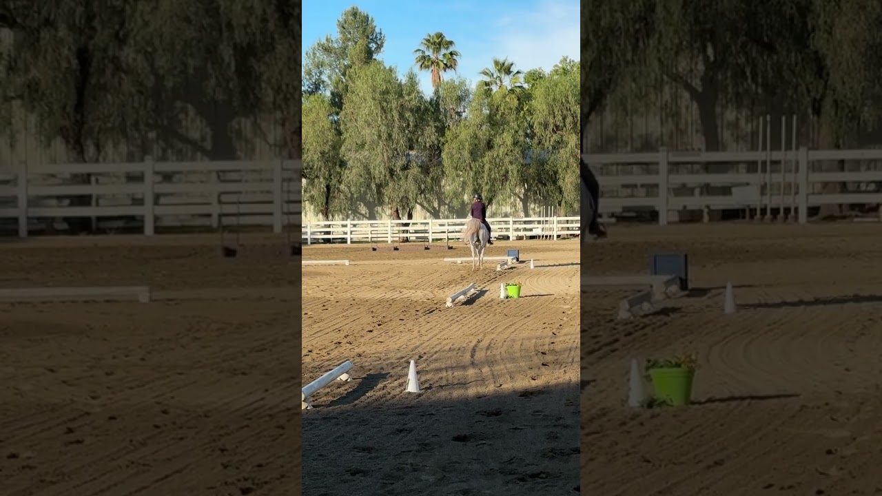 3/14/26 clover cattle #1 show abel dressage level 4