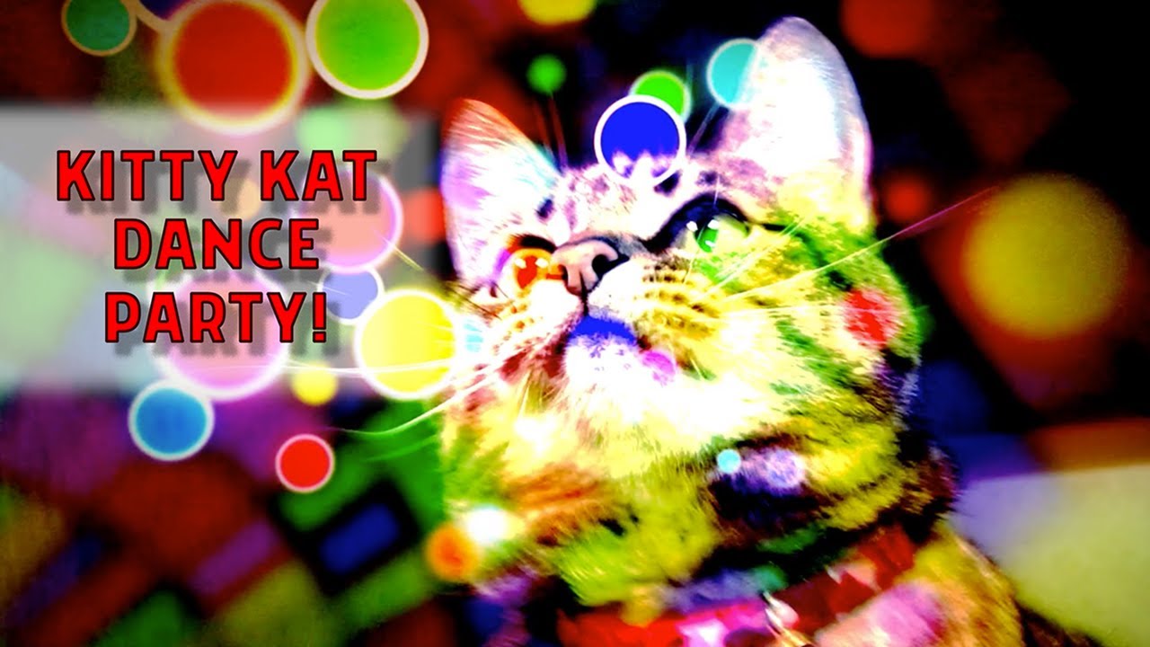 Kitty Kat Dance Party